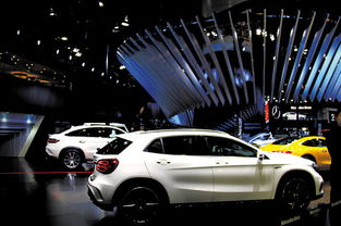 旺盛汽车多少钱(旺盛汽车的价格及其市场表现)