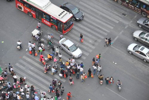 东京街道有多少汽车(东京街道的汽车数量，繁华都市的交通状况分析)