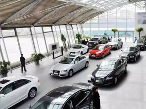 高德汽车年费多少(高德汽车年费多少，深度解析费用构成与影响因素)