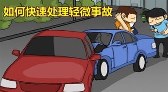 汽车撞猪头赔多少(汽车撞猪头赔多少，一起交通事故中的损失评估与责任界定)