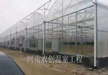 绍兴汽车大棚补贴多少(绍兴汽车大棚补贴政策详解)