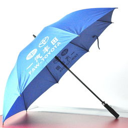 大号汽车雨伞价格多少(大号汽车雨伞价格解析)