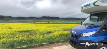 小金钢汽车多少吨重(小金钢汽车重量解析，多少吨重？