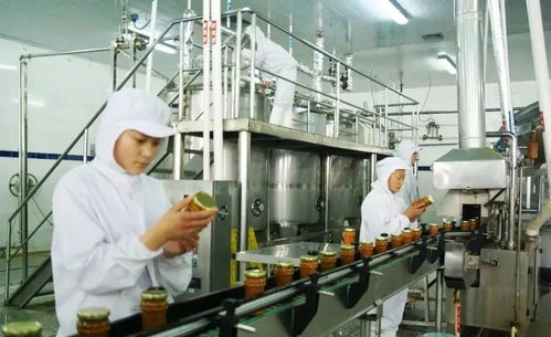 汽车有多少外观件(汽车外观件种类及其数量解析)