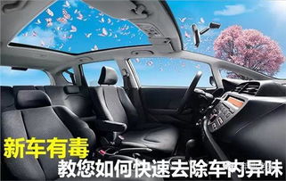 没有多少异味的汽车(没有多少异味的汽车，现代科技与环保理念的完美结合)