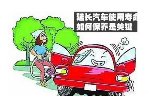 汽车维护保养税收多少(汽车维护保养税收解析)