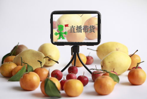 汽车油耗量多少合适(汽车油耗量多少合适，理性看待与有效管理)