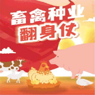 汽车波箱有多少种(汽车波箱的种类与特点)