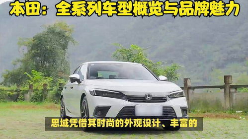 汽车广本有多少牌子(汽车广本品牌系列深度解析)