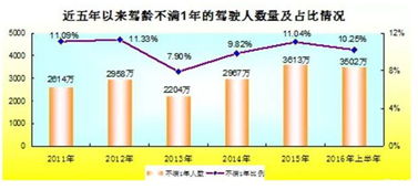中国的汽车多了多少(中国的汽车数量增长，趋势、影响与前景)
