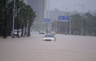 河南淹了多少辆汽车(河南遭遇洪灾，大量汽车被淹)