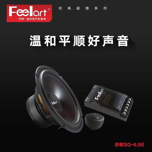 汽车后门音响多少寸(汽车后门音响尺寸解析，多少寸的音响更适合你的车辆后门？