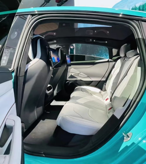 汽车后排功率多少合适(汽车后排功率多少合适，探讨汽车后排功率的合理范围与影响因素)