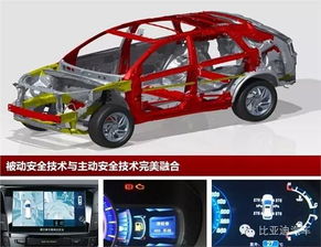 汽车袋鼠有多少只(揭秘汽车袋鼠,数量之谜的探索) 汽车袋鼠有多少只(揭秘汽车袋鼠,数量之谜的探索)