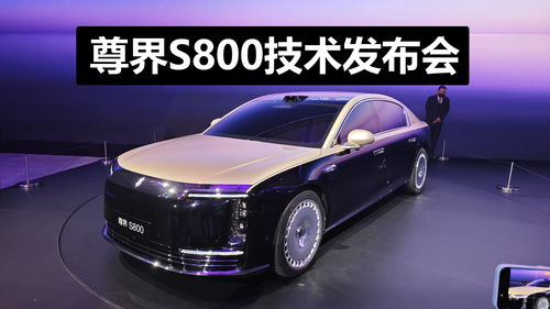 eletre汽车多少钱(关于Eletre汽车的价格，多少钱才能拥有这款豪华电动SUV？
