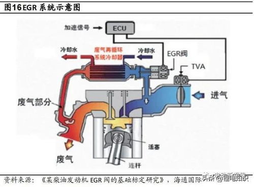 汽车共有多少水泵啊(汽车水泵数量及其作用解析)
