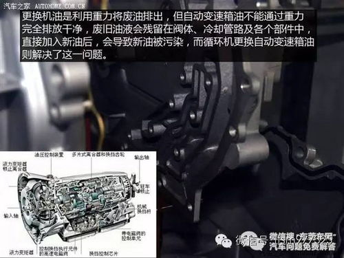 汽车螺丝利润多少正常(汽车螺丝利润正常的多少？探究行业内的盈利状况)