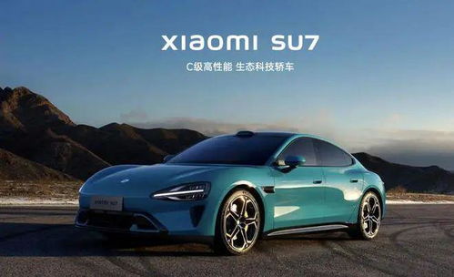 小米汽车出售多少了(小米汽车出售数量及市场表现的深度解析)