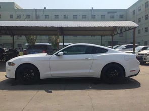 xlaoml汽车多少钱(关于XLAOML汽车的价格解析)