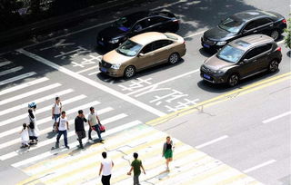 汽车带人罚多少(汽车载人违规罚款制度详解)
