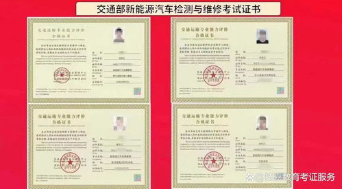 汽车检验缴费多少(汽车检验缴费多少，深入了解车辆检测费用)