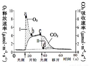 汽车渗碳控制多少碳(汽车渗碳过程中碳含量的精准控制研究)