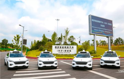 东川区有多少汽车(东川区汽车数量概览)