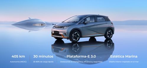 海豚汽车型号多少(海豚汽车型号详解)