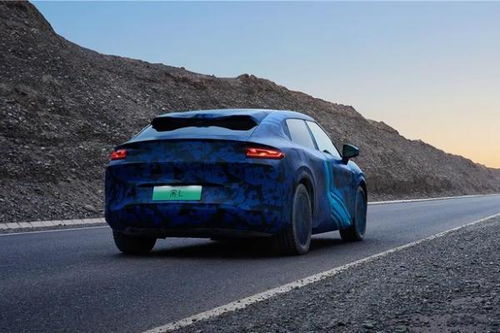 海豚汽车型号多少(海豚汽车型号详解)