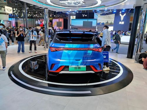 海豚汽车型号多少(海豚汽车型号详解)