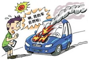 汽车自燃可以赔付多少(汽车自燃可以赔付多少，解析赔付机制与影响因素)