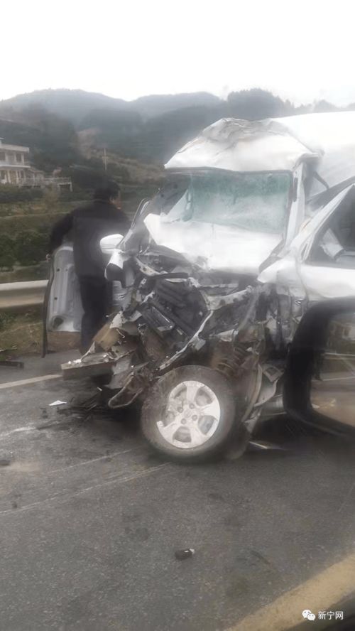 汽车撞倒猪血赔偿多少(汽车撞倒猪血赔偿多少，一起交通事故中的特殊案例分析)