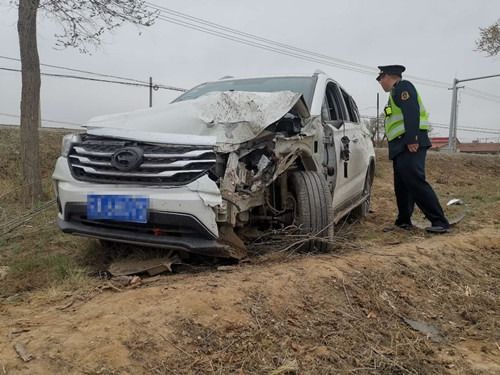 汽车撞倒猪血赔偿多少(汽车撞倒猪血赔偿多少，一起交通事故中的特殊案例分析)