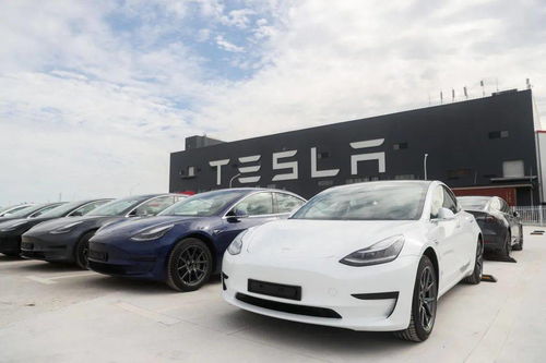 特斯拉买了多少台汽车(特斯拉的汽车购买数量分析)