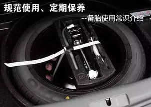 汽车备胎小多少合适(汽车备胎尺寸选择的重要性及其合适尺寸探讨)