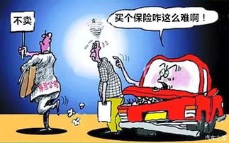汽车过桥多少秒合格(汽车过桥多少秒合格，探讨车辆过桥时间与相关因素)