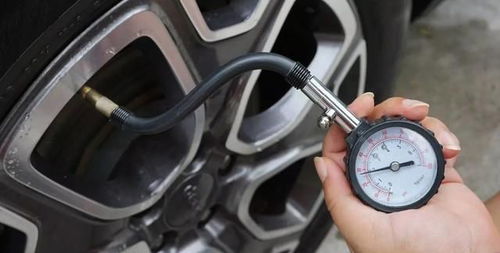 汽车有多少气帘(汽车的气帘数量及其作用)