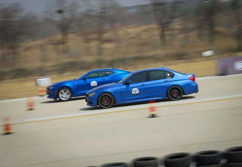 汽车极限加速转速多少(汽车极限加速转速深度解析)