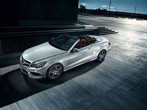 奔驰汽车帕梅拉价格多少(奔驰汽车帕梅拉价格解析) 奔驰汽车帕梅拉价格多少(奔驰汽车帕梅拉价格解析)