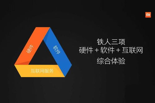 小米汽车赚了多少利润(小米汽车利润解析，成功背后的数字与策略)