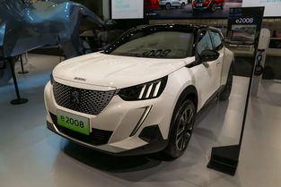 标致汽车辨识度多少(标致汽车辨识度解析)