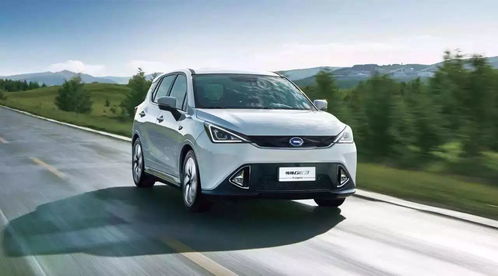 multix汽车多少钱(Multix汽车价格解析)