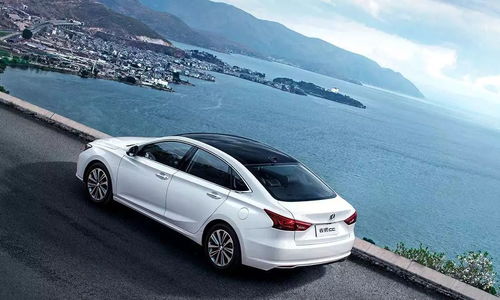 multix汽车多少钱(Multix汽车价格解析)