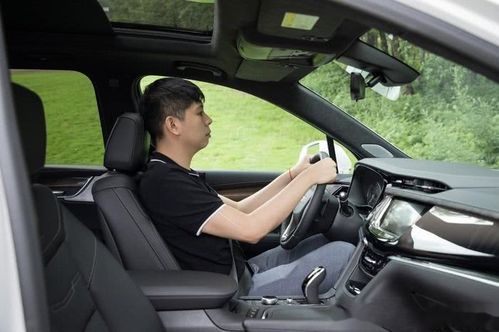 大包汽车多少钱(大包汽车价格解析，多少钱一辆？