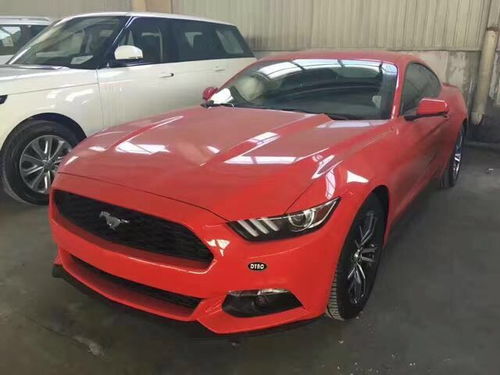 野马多少钱汽车(野马汽车价格解析，多少钱能拥有这款热门车型？