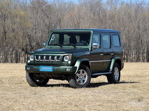 北京汽车与大概多少(北京汽车与大概多少)