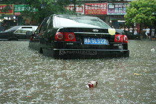 广州暴雨多少汽车被淹(广州暴雨引发严重水浸，大量汽车被淹)