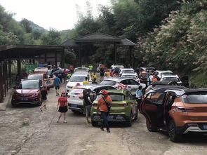 连城至宁化汽车多少(连城至宁化汽车多少，深度解析两地汽车运输服务与费用)