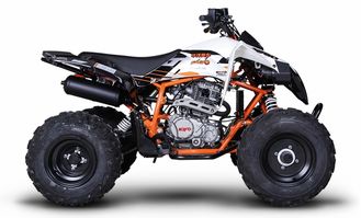 atv汽车多少钱(ATV汽车价格解析，多少钱一辆？