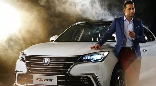 长安汽车最高多少万(长安汽车，探寻其最高价值的无限可能)